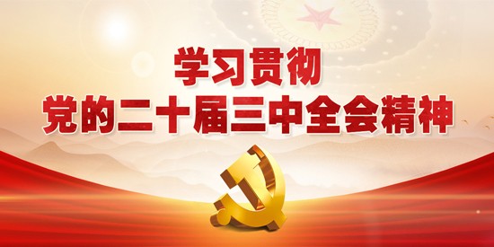 学习贯彻*的二十届三中全会精神